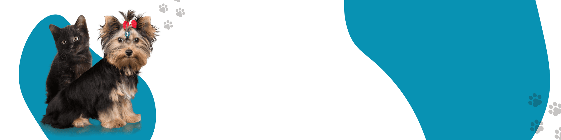 Banner background