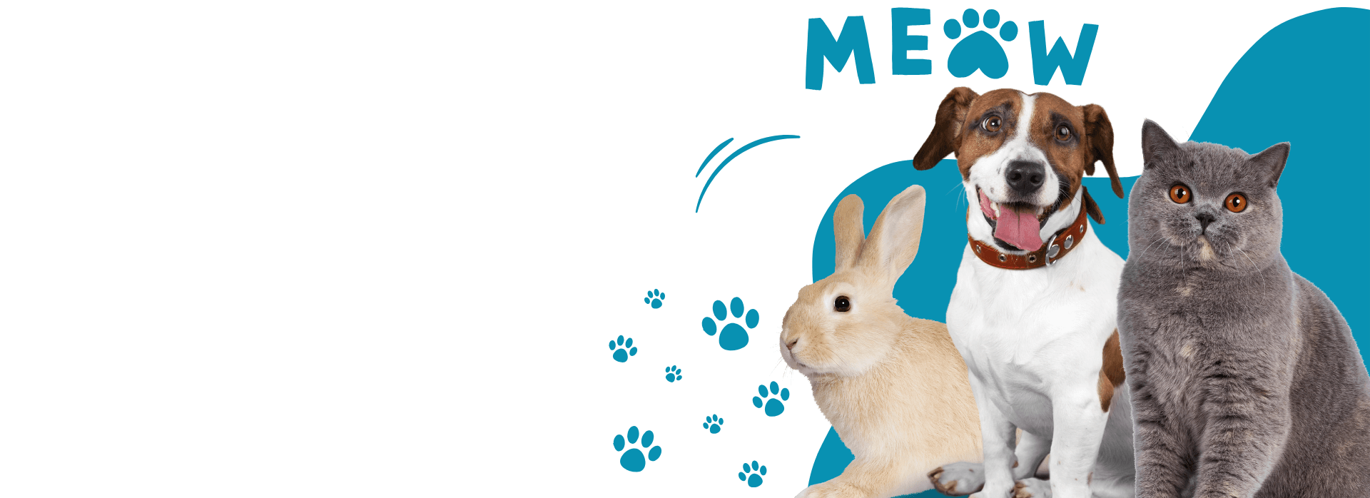 Banner background